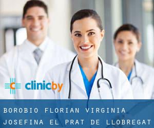 Borobio Florian Virginia Josefina (El Prat de Llobregat)
