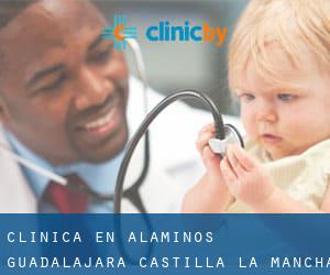 clínica en Alaminos (Guadalajara, Castilla-La Mancha)