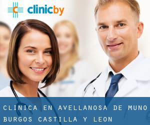 clínica en Avellanosa de Muñó (Burgos, Castilla y León)