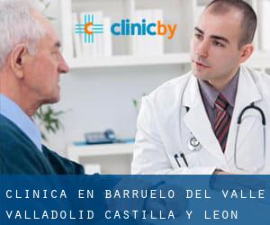 clínica en Barruelo del Valle (Valladolid, Castilla y León)