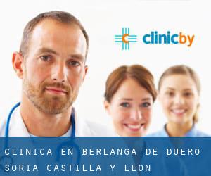 clínica en Berlanga de Duero (Soria, Castilla y León)