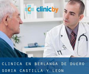 clínica en Berlanga de Duero (Soria, Castilla y León)