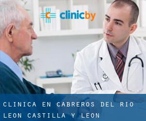 clínica en Cabreros del Río (León, Castilla y León)
