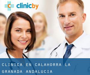 clínica en Calahorra (La) (Granada, Andalucía)