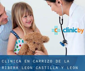 clínica en Carrizo de la Ribera (León, Castilla y León)