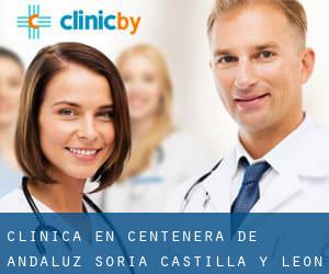 clínica en Centenera de Andaluz (Soria, Castilla y León)
