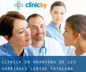 clínica en Granyena de les Garrigues (Lérida, Cataluña)