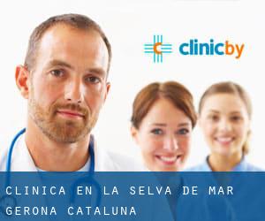 clínica en la Selva de Mar (Gerona, Cataluña)