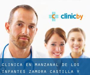 clínica en Manzanal de los Infantes (Zamora, Castilla y León)