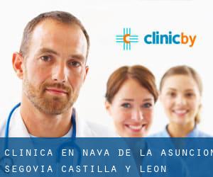 clínica en Nava de la Asunción (Segovia, Castilla y León)