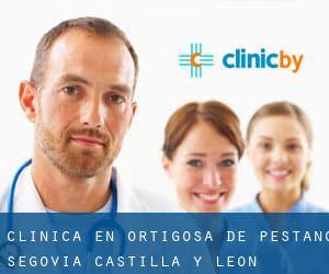 clínica en Ortigosa de Pestaño (Segovia, Castilla y León)