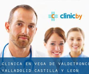 clínica en Vega de Valdetronco (Valladolid, Castilla y León)