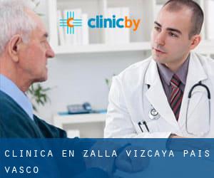 clínica en Zalla (Vizcaya, País Vasco)